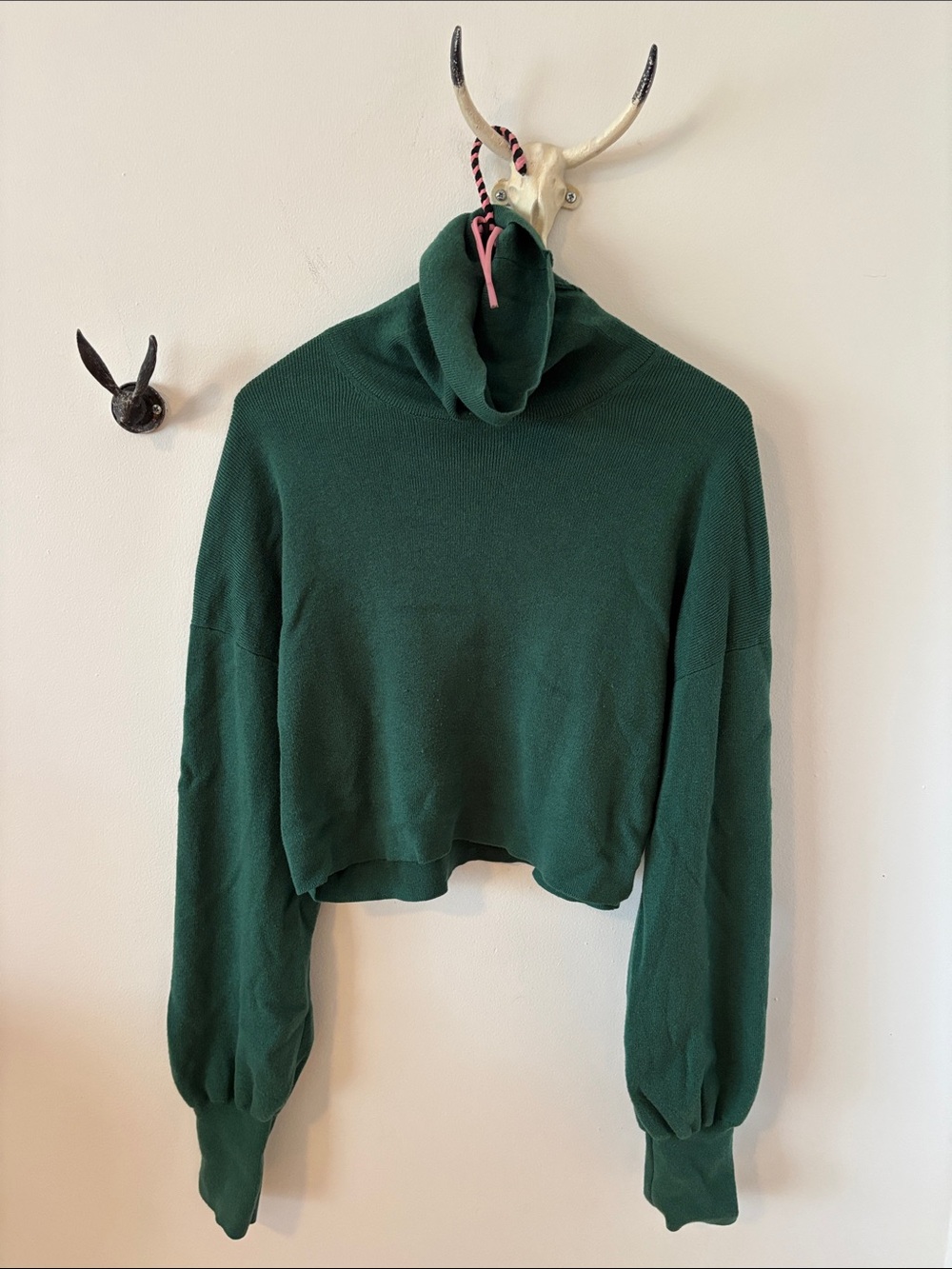 Aritzia’s Wilfred Forest Green turtle Neck cropped Sweater